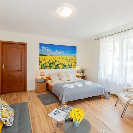 Apartament I Pokoje Goscinne U Lusi Wisla Exterior photo