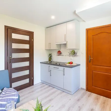 Apartament I Pokoje Goscinne U Lusi Wisla Exterior photo