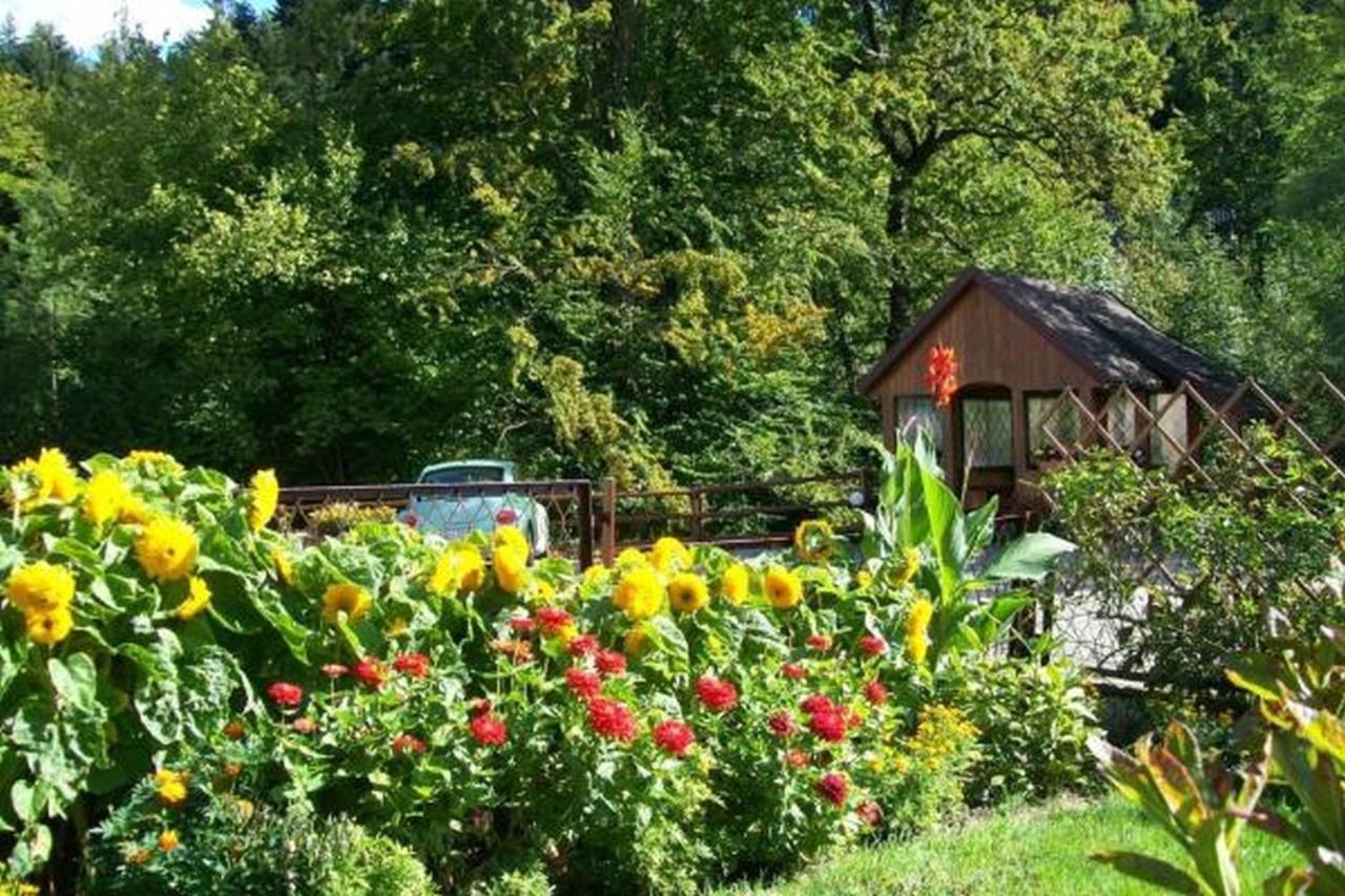 Homestay Apartament I Pokoje Goscinne U Lusi Wisla