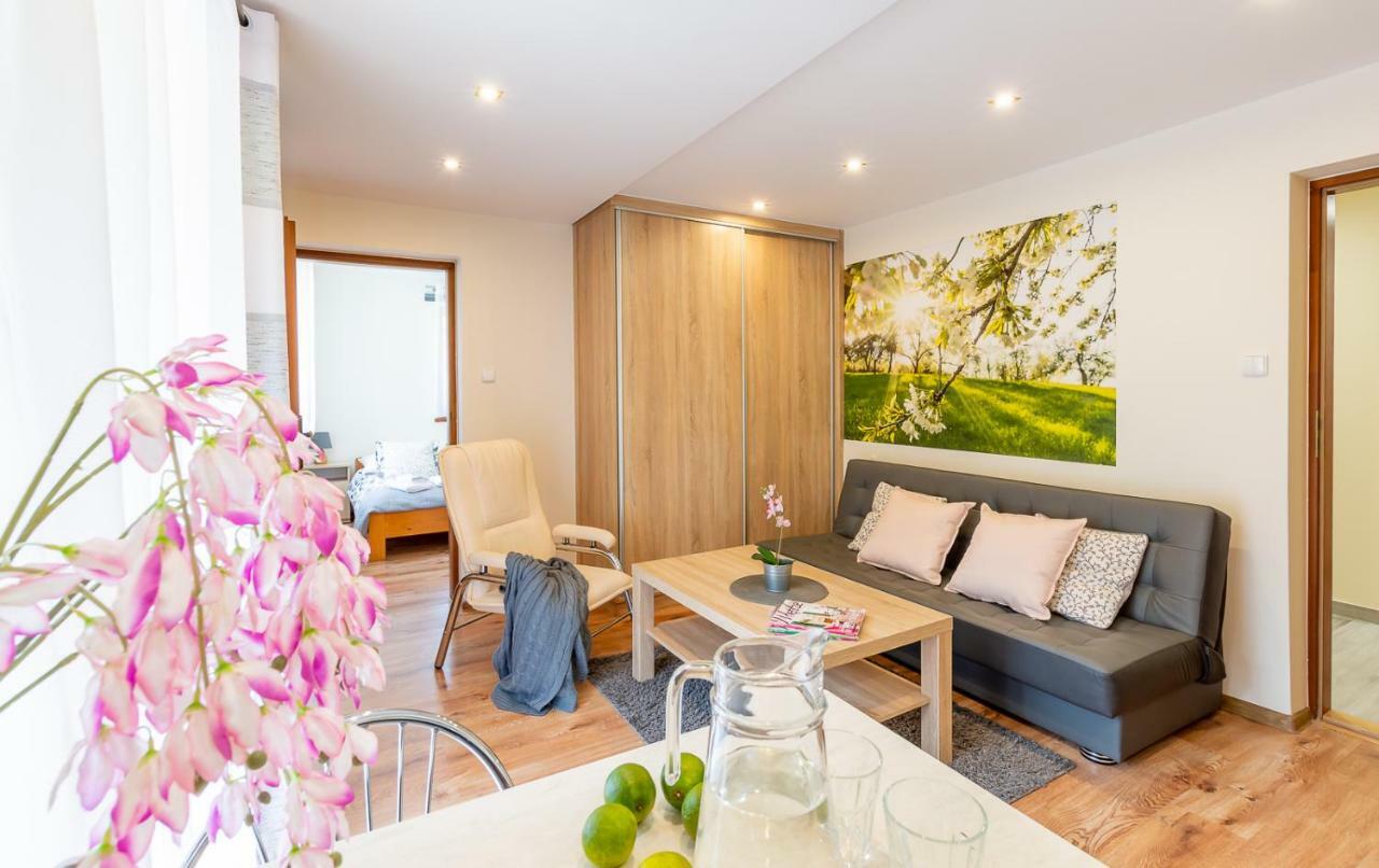 Homestay Apartament I Pokoje Goscinne U Lusi Wisla
