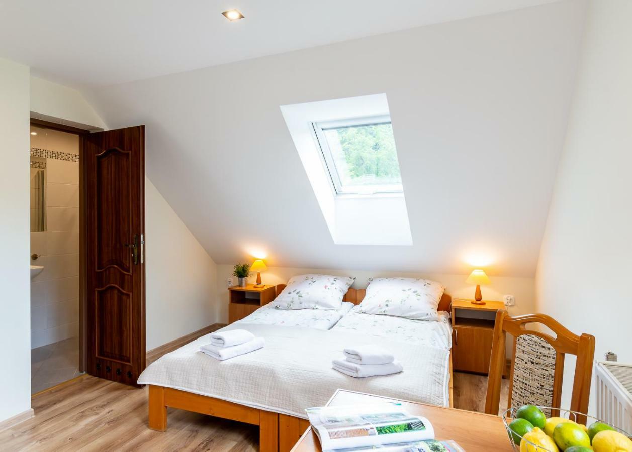 Apartament I Pokoje Goscinne U Lusi Homestay Wisla