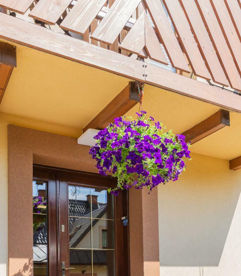 Homestay Apartament I Pokoje Goscinne U Lusi *